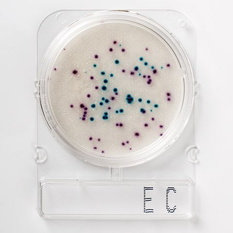 inicio_sobre_leitura